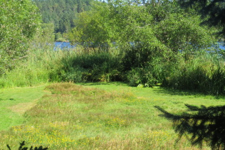 Yard and Lake Before